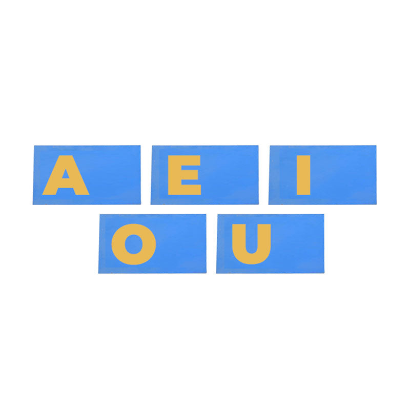 Montessori Capital Alphabet Sandpaper Letters with Boxes
