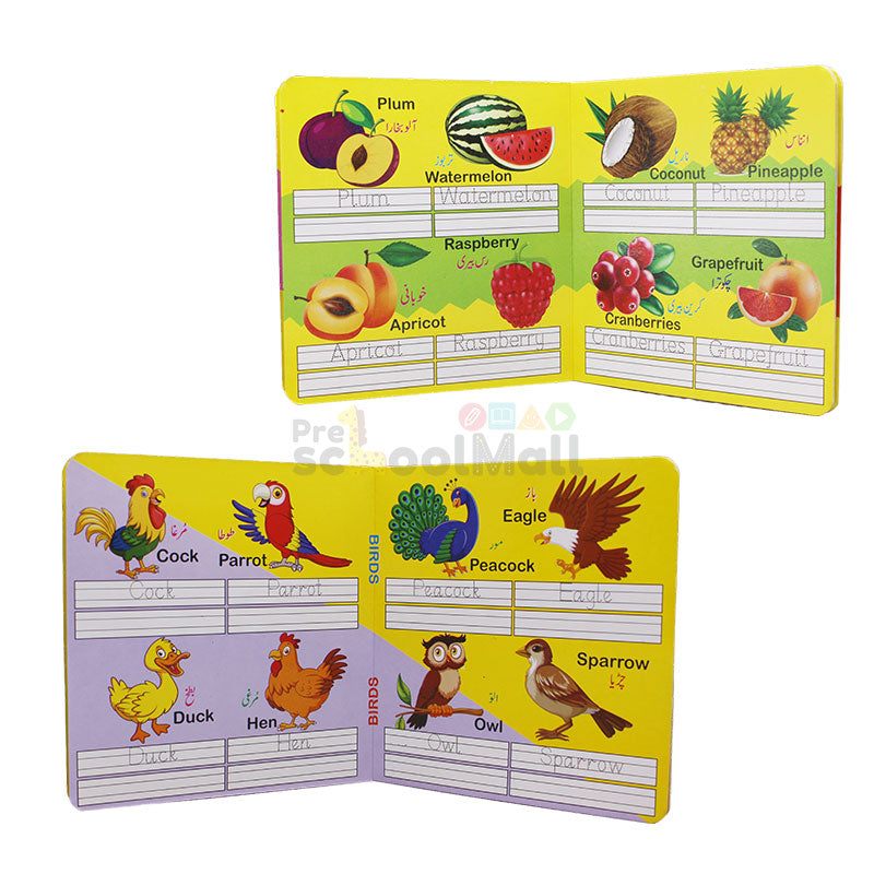 Reading and Write & Wipe Cardboard 6 Book Bundle