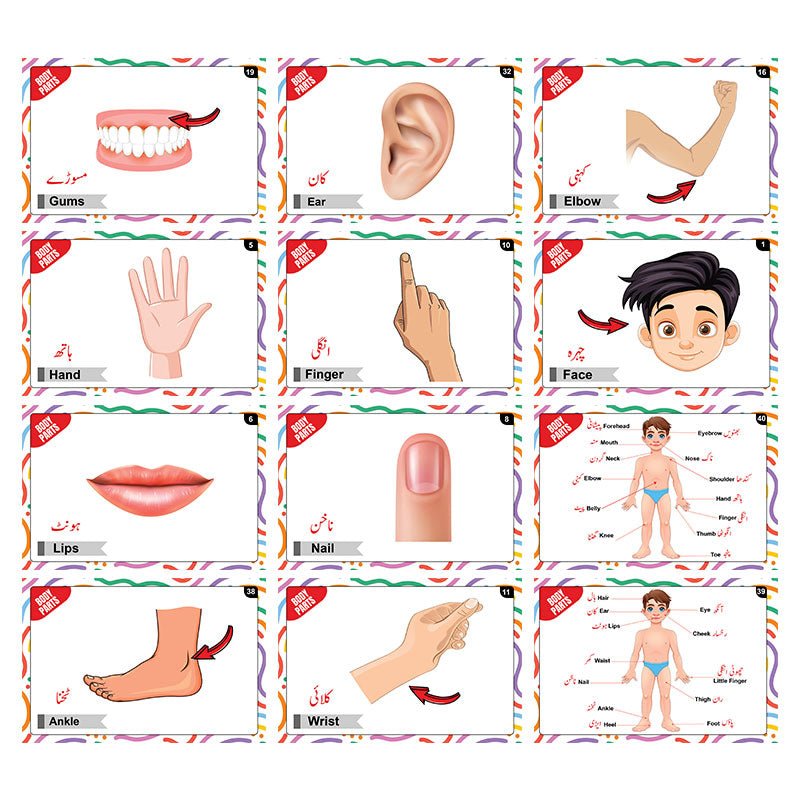 Actions Words & Body Parts Bilingual FlashCards - Preschool mall - Preschool Supplies & Educational Toys
