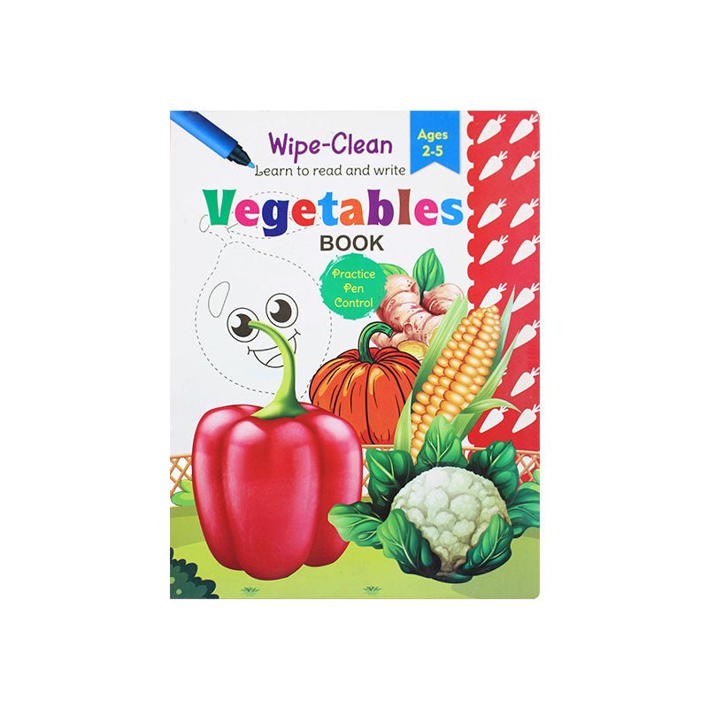 Wipe - Clean Learn to Read & Write Book - Preschool mall - Preschool Supplies & Educational Toys