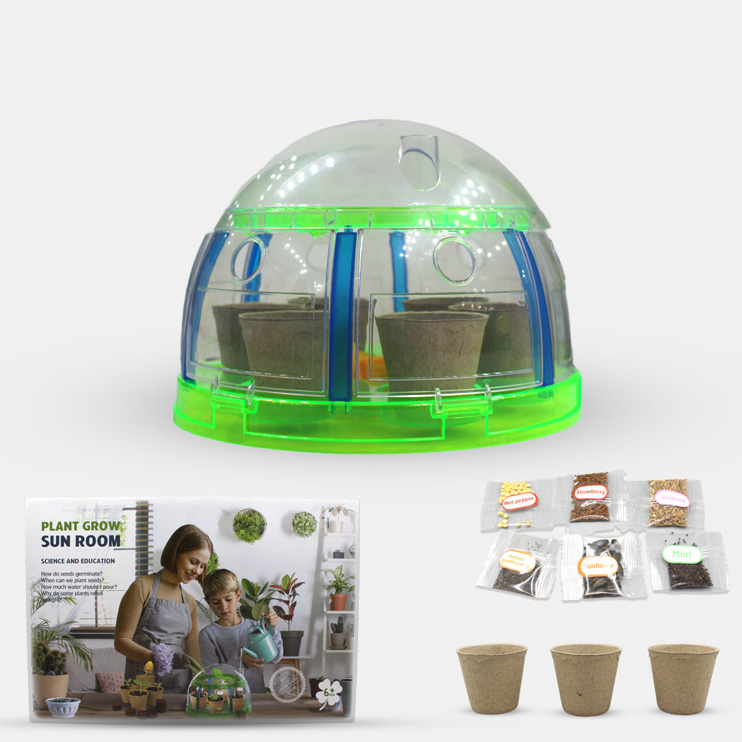 Plant Grow Sun Room