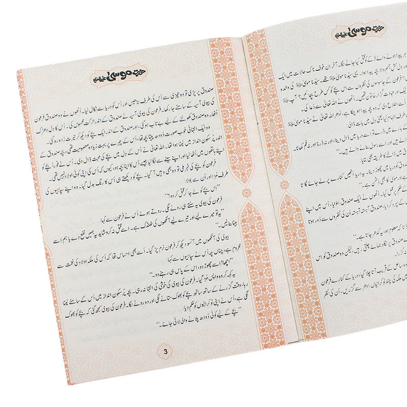Seerat UL Anbiya 24 Books Gift Pack