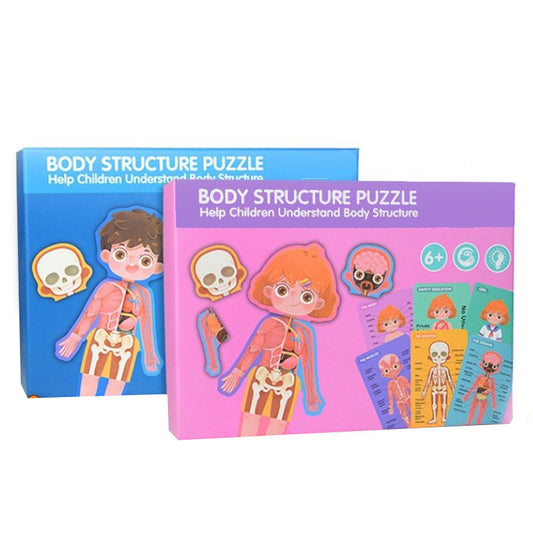 Body Structure Puzzle Wooden Game
