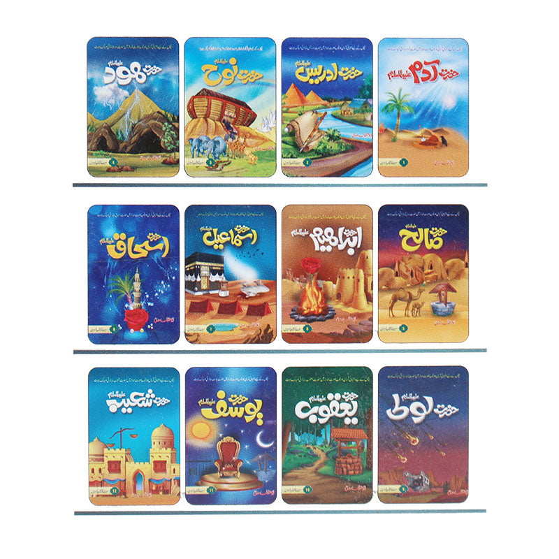 Seerat UL Anbiya 24 Books Gift Pack