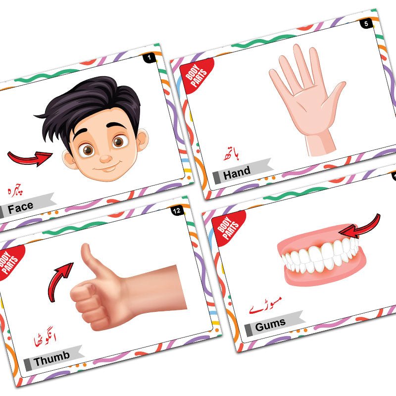 Actions Words & Body Parts Bilingual FlashCards - Preschool mall - Preschool Supplies & Educational Toys