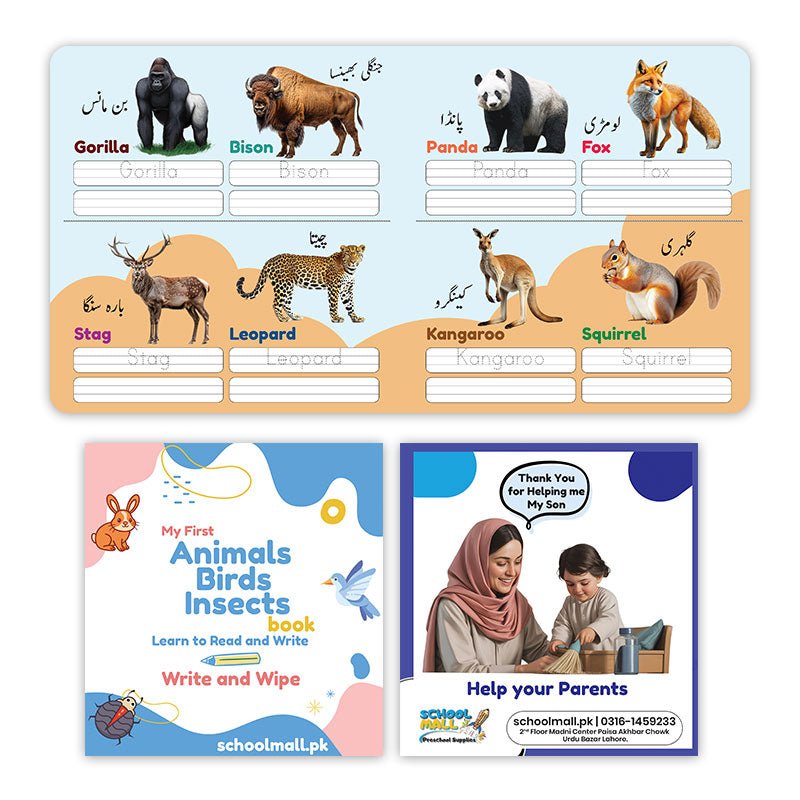 Write & Wipe 6 Cardboard Books Bundle - Preschool mall - Preschool Supplies & Educational Toys