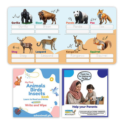 Write & Wipe 6 Cardboard Books Bundle - Preschool mall - Preschool Supplies & Educational Toys