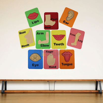 Montessori Classroom Decoration Wall Foam Sheets