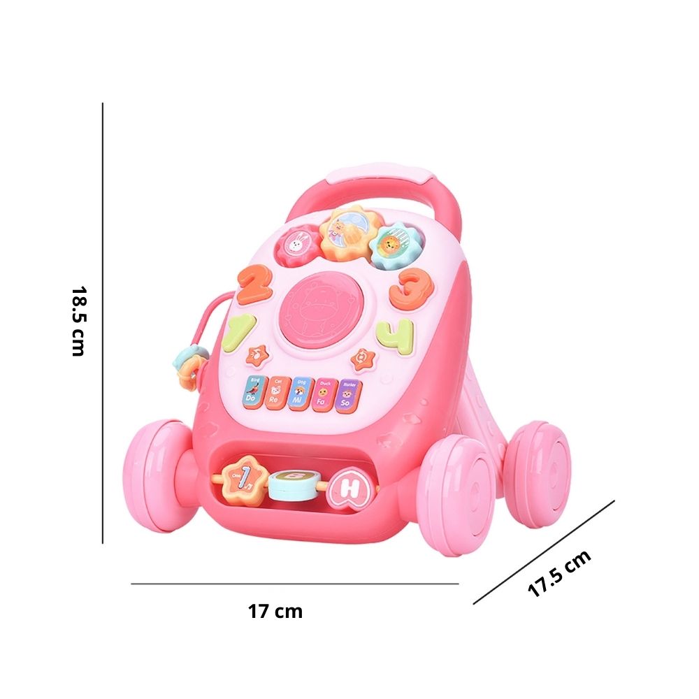 Early Education Walker Toy With Music &amp; Lighting (3)