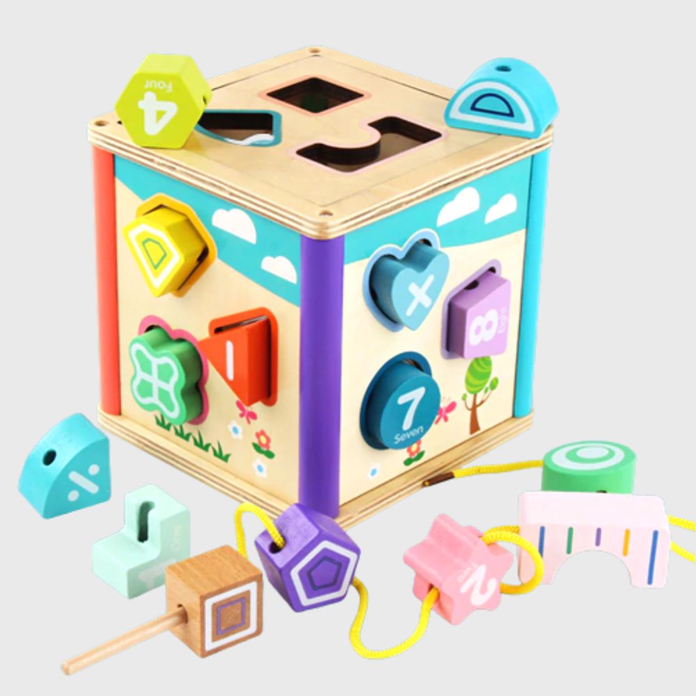 Wooden Shape Matching Puzzle Box- Cube